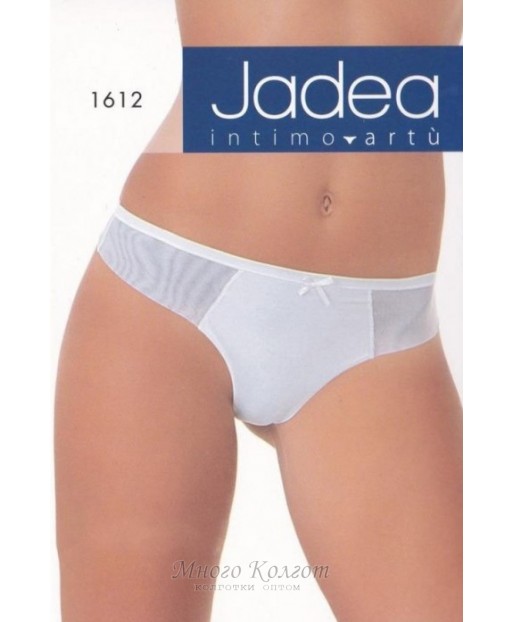 Jadea intimo 1612